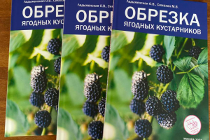 Книга «Обрезка ягодных кустарников»